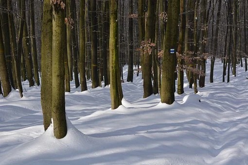 pic_168.jpg